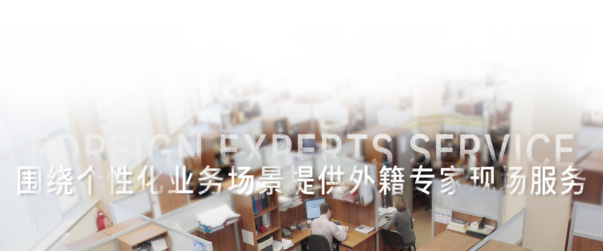 外籍语言专家